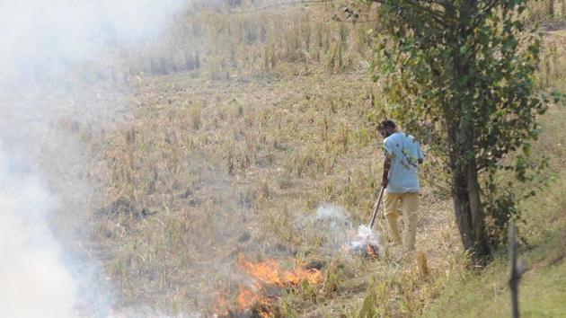 Deputy commissioner Ashok Kumar Sharma says there is regular monitoring of stubble burning incidents by the agriculture department and pollution control board. (Representational picture) Deputy commissioner Ashok Kumar Sharma says there is regular monitoring of stubble burning incidents by the agriculture department and pollution control board. (Representational picture)