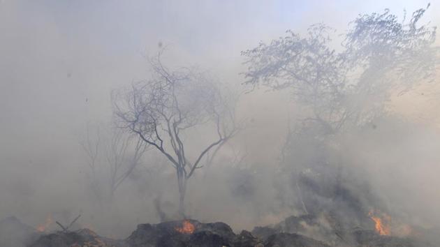 Noida: Smoke rising from a fire in shrubs in the forest at Sector 54 in Noida, Uttar Pradesh.(Sunil Ghosh / Hindustan Times) Noida: Smoke rising from a fire in shrubs in the forest at Sector 54 in Noida, Uttar Pradesh.(Sunil Ghosh / Hindustan Times)