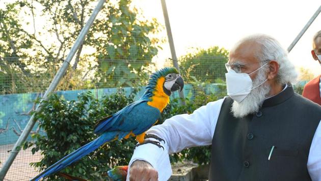 Prime Minister Narendra Modi at the Geodesic Aviary Dome in Kevadia on Friday. (Photo: Twitter)(PTI) Prime Minister Narendra Modi at the Geodesic Aviary Dome in Kevadia on Friday. (Photo: Twitter)(PTI)