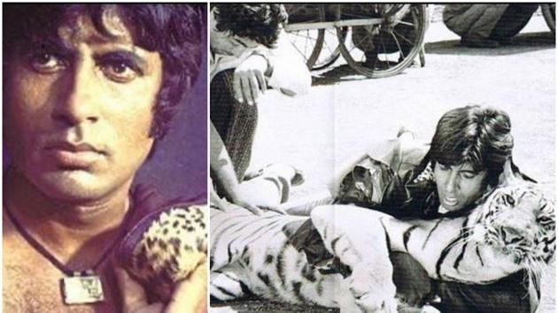 Amitabh Bachchan fought a real tiger in 1977 film Khoon Pasina. Amitabh Bachchan fought a real tiger in 1977 film Khoon Pasina.