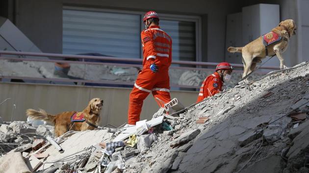 Members of rescue services with sniffer dogs search in the debris of a collapsed building for survivors in Izmir, Turkey, Sunday, Nov. 1, 2020.(AP)