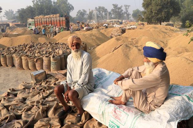 Paddy glut in  Bathinda grain market due to slow lifting, which has been caused by shortage of gunny bags. (Sanjeev Kumar/HT)