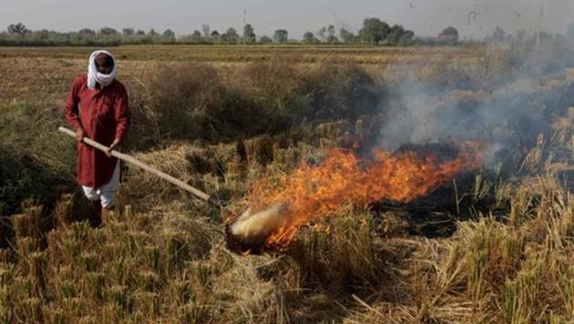Stubble burning incidents within a 100km radius of Delhi are more responsible for its air quality than Punjab, which is 250kms away from Delhi, says PPCB member secretary Krunesh Garg. (AFP) Stubble burning incidents within a 100km radius of Delhi are more responsible for its air quality than Punjab, which is 250kms away from Delhi, says PPCB member secretary Krunesh Garg. (AFP)