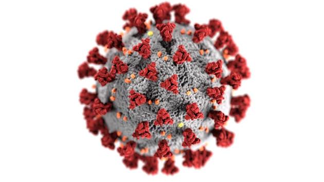 The study, published in the journal Allergy, involving 109 recovered Covid-19 patients and 98 healthy individuals.(Unsplash) The study, published in the journal Allergy, involving 109 recovered Covid-19 patients and 98 healthy individuals.(Unsplash)