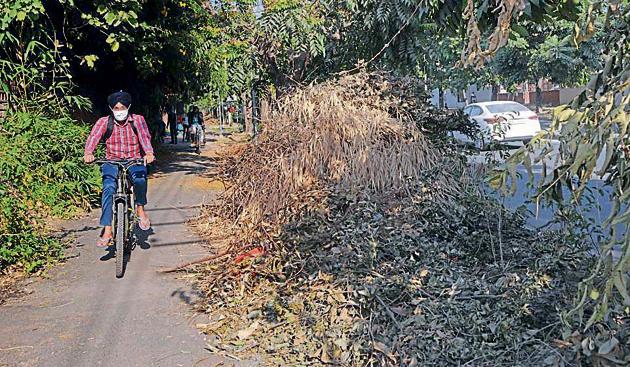 Branches of pruned trees lying on the road dividing Sectors 32 and 33 in Chandigarh on Friday. Residents say the chopped branches are not removed for days. (KESHAV SINGH/HT) Branches of pruned trees lying on the road dividing Sectors 32 and 33 in Chandigarh on Friday. Residents say the chopped branches are not removed for days. (KESHAV SINGH/HT)