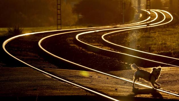 An empty subway railway track in Frankfurt, Germany on November 5. (Michael Probst / AP) An empty subway railway track in Frankfurt, Germany on November 5. (Michael Probst / AP)