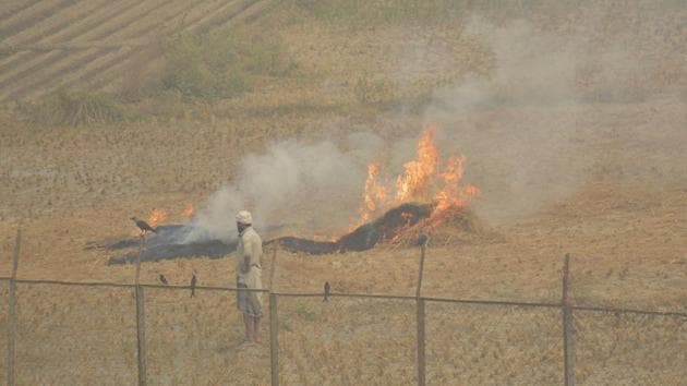 Smoke rises from a stubble fire in a field at Kallu Garhi village near Delhi Meerut Expressway in Ghaziabad, India on Wednesday November 04, 2020. (Photo by Sakib Ali /Hindustan Times) Smoke rises from a stubble fire in a field at Kallu Garhi village near Delhi Meerut Expressway in Ghaziabad, India on Wednesday November 04, 2020. (Photo by Sakib Ali /Hindustan Times)