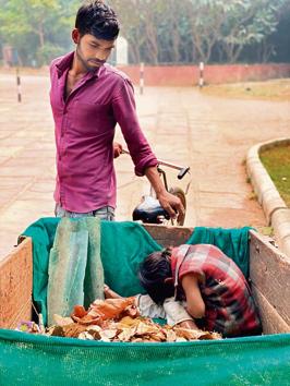 Mahesh’s wife, Saraswati, is a leaf collector too, in the same park. Natives of Gwalior, in Madhya Pradesh, they arrived in the city more than a year ago and have been in this job since about that time. (HT Photo) Mahesh’s wife, Saraswati, is a leaf collector too, in the same park. Natives of Gwalior, in Madhya Pradesh, they arrived in the city more than a year ago and have been in this job since about that time. (HT Photo)