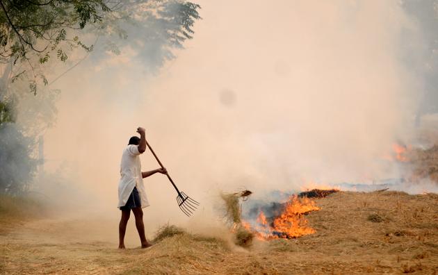 Representative image/HT Representative image/HT