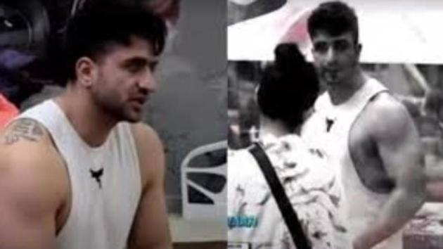Aly Goni and Jasmin Bhasin in Bigg Boss house.