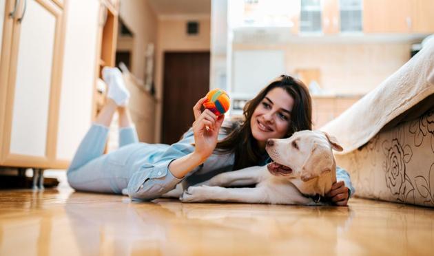 Experts recommend keeping pets distracted with indoor activities (Photo: Shutterstock. For representational purpose only.) Experts recommend keeping pets distracted with indoor activities (Photo: Shutterstock. For representational purpose only.)