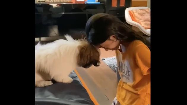 “A girl & her dog,” reads part of the caption shared by Khan on Instagram.(Instagram/@farahkhankunder) “A girl & her dog,” reads part of the caption shared by Khan on Instagram.(Instagram/@farahkhankunder)