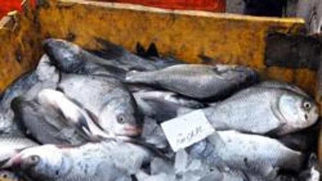 The fish would be given to the beneficiaries in powder form or in packets after being dried.(HT PHOTO)