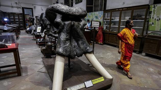 A woman walks around a gallery at the Indian Museum in Kolkata on November 10.The new guidelines released last week have made sanitization of premises at regular intervals and wearing of masks by all visitors mandatory for facilities to operate. (Bikas Das / AP)