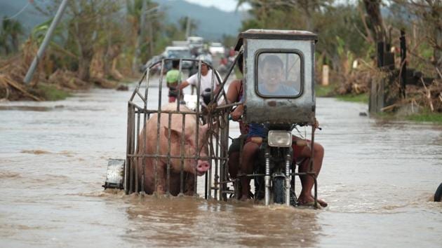 A motorcycle carrying a pig crosses a flooded road in Albay province, central Philippines on November 12. President Rodrigo Duterte told Southeast Asian leaders the devastation of recent weeks was “a stark reminder of the urgency of collective action to combat the effects of climate change,” Reuters reported. (John Michael Magdasoc / AP) A motorcycle carrying a pig crosses a flooded road in Albay province, central Philippines on November 12. President Rodrigo Duterte told Southeast Asian leaders the devastation of recent weeks was “a stark reminder of the urgency of collective action to combat the effects of climate change,” Reuters reported. (John Michael Magdasoc / AP)