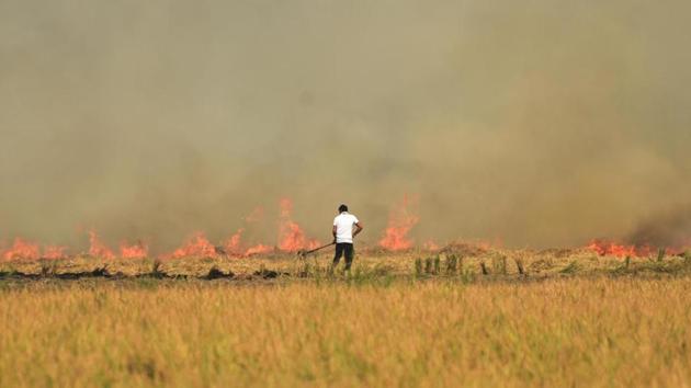 A farmer burns straw in a field after paddy crop harvesting near Jandiala Guru in Punjab on Monday. (HT File) A farmer burns straw in a field after paddy crop harvesting near Jandiala Guru in Punjab on Monday. (HT File)