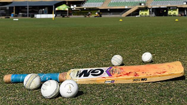Cricket representational image(HT Archives) Cricket representational image(HT Archives)