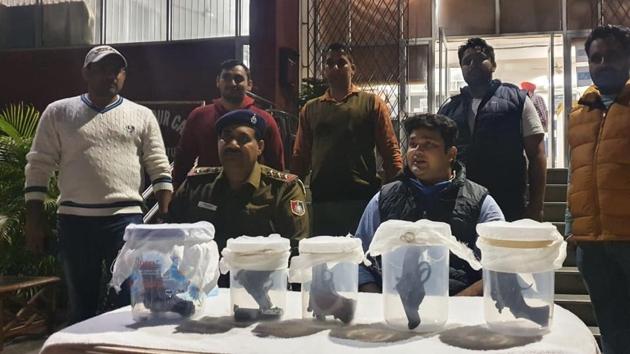 Two revolvers, two pistols with one magazine and three live cartridges were recovered in Chandigarh after the interrogation of gangster Sagar Newton.(HT Photo)