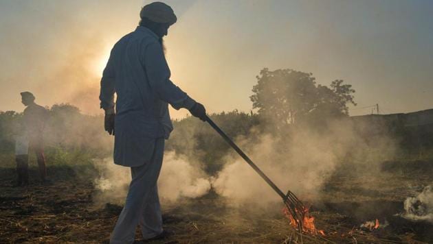 In the case of Haryana, however, the fire counts reduced by 18% when compared to the average daily fire counts over the past five years.(PTI file photo)