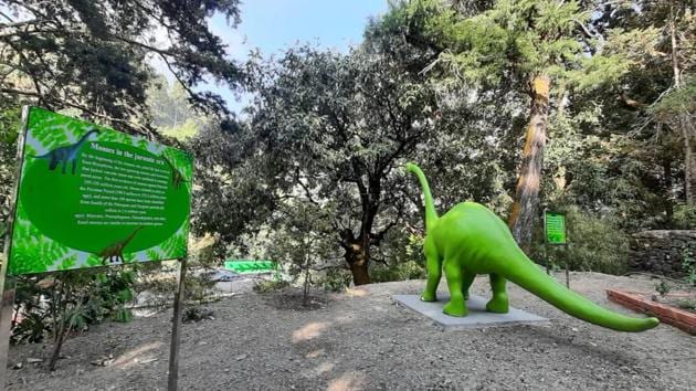 The Moss Garden developed by the Uttarakhand forest department in Nainital district is reportedly the first such garden in the country. (HT PHOTO.) The Moss Garden developed by the Uttarakhand forest department in Nainital district is reportedly the first such garden in the country. (HT PHOTO.)