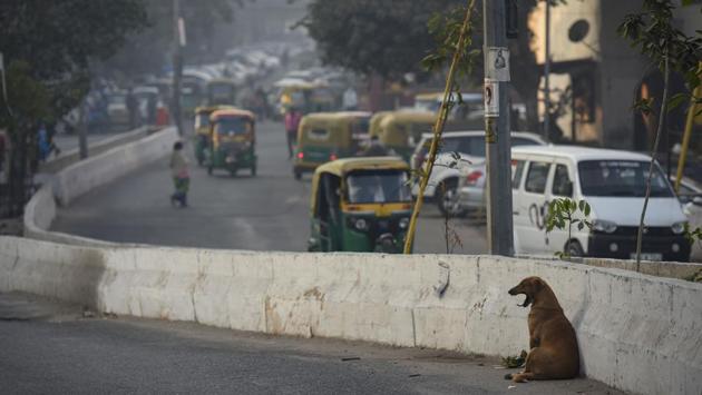A dog yawns sitting besides a road divider, at Nizamuddin on November 20. The Regional Meteorological Centre has also warned that Delhi, along with Haryana and north Rajasthan could experience cold wave conditions for the next two days. A cold wave is declared when minimum temperature is under 10 degrees Celsius and the departure from normal is 4.5°C for more than a day. (Biplov Bhuyan / HT Photo) A dog yawns sitting besides a road divider, at Nizamuddin on November 20. The Regional Meteorological Centre has also warned that Delhi, along with Haryana and north Rajasthan could experience cold wave conditions for the next two days. A cold wave is declared when minimum temperature is under 10 degrees Celsius and the departure from normal is 4.5°C for more than a day. (Biplov Bhuyan / HT Photo)