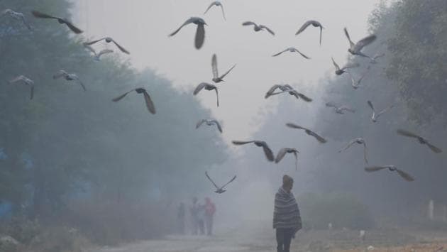 Pigeons take flight on a foggy morning in the outskirts of Dwarka in New Delhi on November 18. The national capital recorded a minimum temperature of 7.5°C on November 20, making it the city’s coldest November day in 14 years, according to data from the India Meteorological Department (IMD) department. (Vipin Kumar / HT Photo) Pigeons take flight on a foggy morning in the outskirts of Dwarka in New Delhi on November 18. The national capital recorded a minimum temperature of 7.5°C on November 20, making it the city’s coldest November day in 14 years, according to data from the India Meteorological Department (IMD) department. (Vipin Kumar / HT Photo)