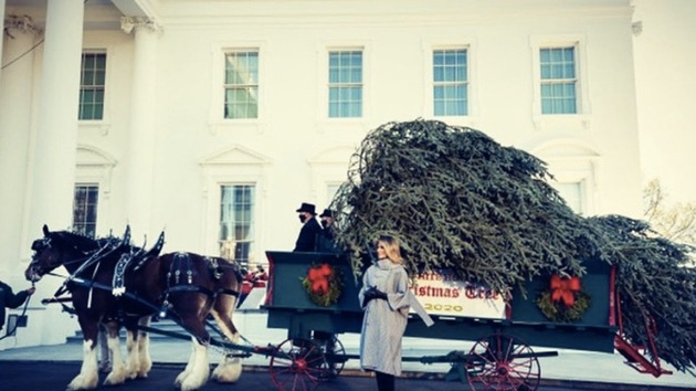 Monday’s delivery of an 18-and-a-half-foot tall Fraser fir by horse-drawn carriage signalled the kickoff of the usual array of White House holiday events that will include the annual turkey pardon and Christmas and Hanukkah events (Melania Trump on Twitter) Monday’s delivery of an 18-and-a-half-foot tall Fraser fir by horse-drawn carriage signalled the kickoff of the usual array of White House holiday events that will include the annual turkey pardon and Christmas and Hanukkah events (Melania Trump on Twitter)