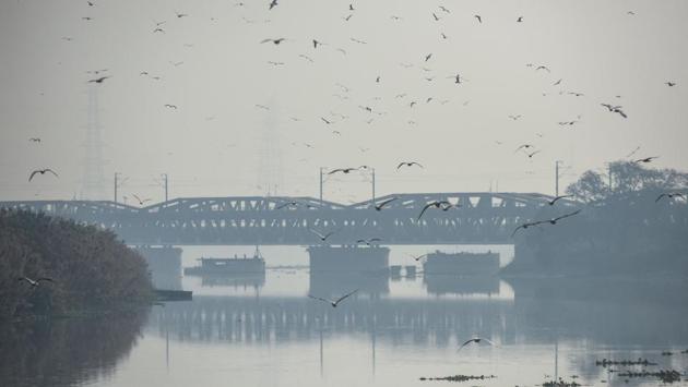 Birds in flight on a hazy morning near Yamuna Ghat in New Delhi on November 23. The air quality deteriorated on November 23, inching closer to the “very poor” category, with the AQI at 295 (poor), HT reported. (Amal KS / HT Photo) 