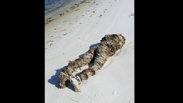 The image shows the ‘dead body’ that washed ashore in a Florida beach.(Facebook/@Ocean Hour)