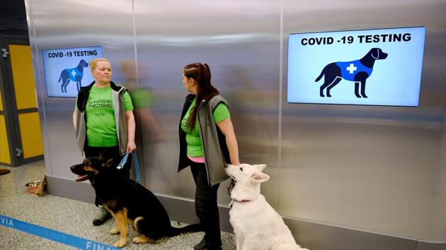 Sniffer dogs Valo (L) and E.T., who are trained to detect the coronavirus disease (COVID-19) from the arriving passengers' samples, sit next to their trainers at Helsinki Airport in Vantaa, Finland.(via REUTERS)