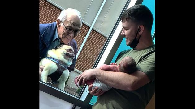 Pug S Priceless Expression After Meeting Human Baby Brother May Melt Your Heart Hindustan Times