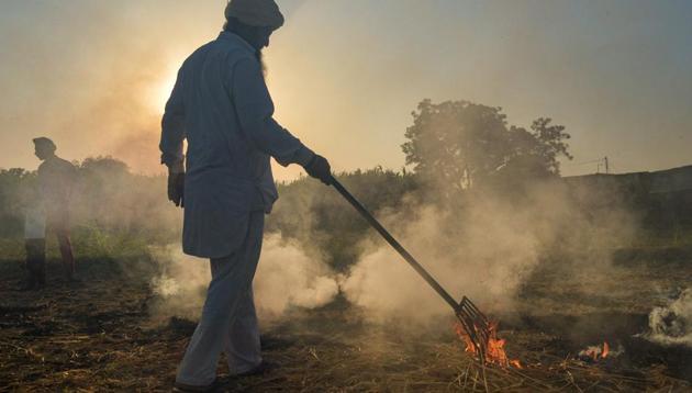 A farmer burns paddy stubble, in Rupnagar distric.(PTI)