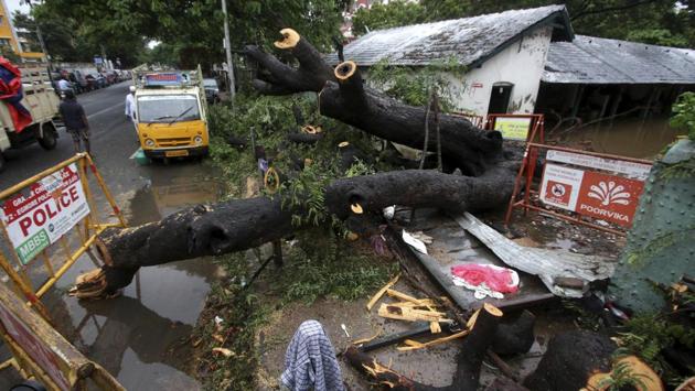 A tree that fell collapsing a compound wall in Chennai on November 25. Life also came to a standstill as howling winds damaged electric poles and interrupted electricity supply in several parts of Chennai and other districts. Hundreds of trees were uprooted.  (R. Parthibhan / AP) 
