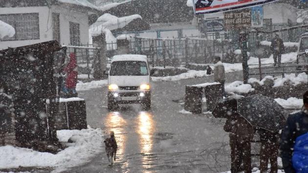 Snowfall in Gulmarg on November 25.(ANI) Snowfall in Gulmarg on November 25.(ANI)