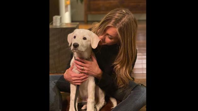 The photo shows Jennifer Aniston with Lord Chesterfield. (Instagram/@jenniferaniston) The photo shows Jennifer Aniston with Lord Chesterfield. (Instagram/@jenniferaniston)