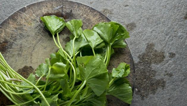 The various benefits of gotu kola for your skin.(Shutterstock)