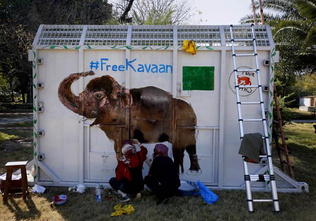 Islamabad: Volunteers paint an image of an elephant named Islamabad: Volunteers paint an image of an elephant named