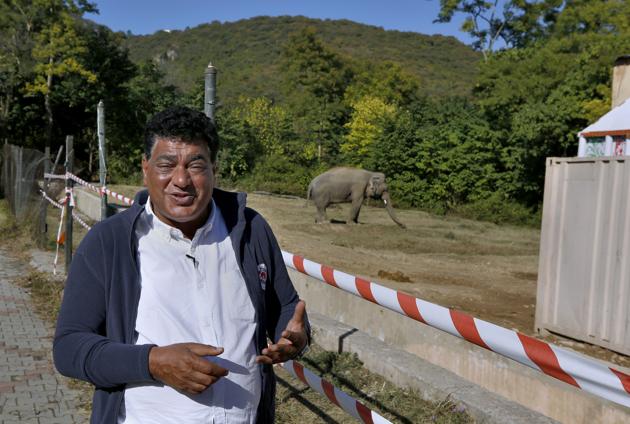 Dr. Amir Khalil, a veterinary from the international animal welfare organization "Four Paws" talks to The Associated Press near an elephant named "Kaavan" waiting to be transported to a sanctuary in Cambodia, at the Maragzar Zoo in Islamabad, Pakistan, Friday, Nov. 27, 2020. (AP) Dr. Amir Khalil, a veterinary from the international animal welfare organization "Four Paws" talks to The Associated Press near an elephant named "Kaavan" waiting to be transported to a sanctuary in Cambodia, at the Maragzar Zoo in Islamabad, Pakistan, Friday, Nov. 27, 2020. (AP)
