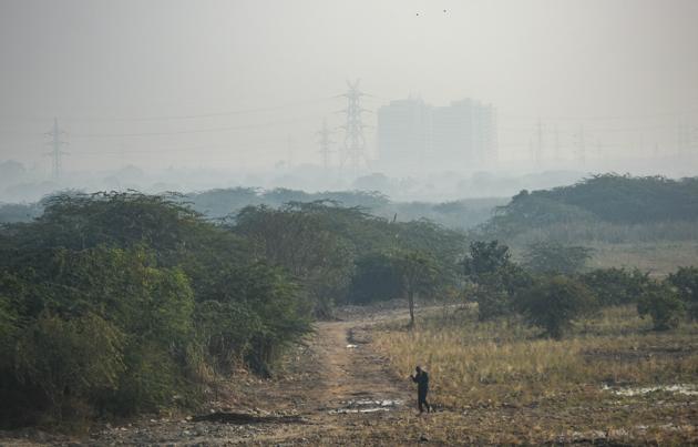 A man walks along a forest in Mayur Vihar on a clear day in New Delhi on November 26.(Amal KS/HT PHOTO)