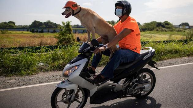 Motorcycle enthusiast Gilbert Delos Reyes rides with his pet dog Bogie, in Kawit, Cavite, Philippines. (REUTERS)