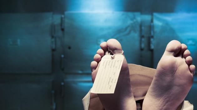 A waiter, 19, died in Zirakpur on Sunday after falling from a balcony and hitting a high voltage line .(Shutterstock) A waiter, 19, died in Zirakpur on Sunday after falling from a balcony and hitting a high voltage line .(Shutterstock)
