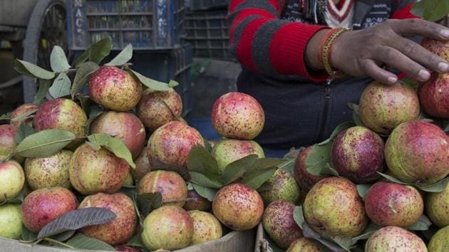 The wholesale prices of this vitamin C-rich fruit at Devi Ahilya Bai Holkar Fruit and Vegetable Market in Indore currently ranges between Rs 4 and Rs 10 per kilo.(Representative Photo/AP) The wholesale prices of this vitamin C-rich fruit at Devi Ahilya Bai Holkar Fruit and Vegetable Market in Indore currently ranges between Rs 4 and Rs 10 per kilo.(Representative Photo/AP)