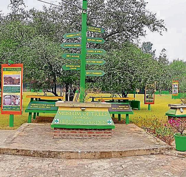 Built over five acres on the Hallomajra-Panchkula route, at Daria, the park’s development work began in 2010 by the Chandigarh Nature and Health Society (CNHS), an NGO that received a Rs 69 lakh grant for this purpose from the ministry of culture in 2009(HT Photo)
