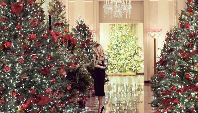 Ornaments on the official Christmas tree in the Blue Room, a towering Fraser fir from Shepherdstown, West Virginia, were designed by students from across the country(White House on Twitter)