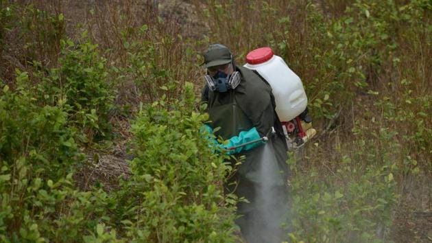 Intense awareness about Glyphosate in local languages is key(AFP (Representative Image)) Intense awareness about Glyphosate in local languages is key(AFP (Representative Image))