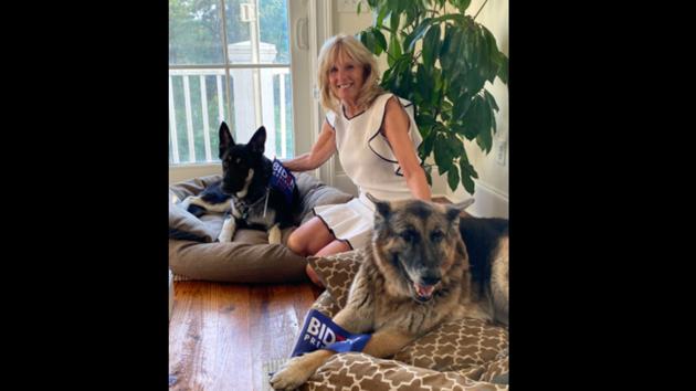 The arrival of the Biden pets will also mark the next chapter in a long history of pets residing at the White House after a four-year hiatus. (Twitter) The arrival of the Biden pets will also mark the next chapter in a long history of pets residing at the White House after a four-year hiatus. (Twitter)