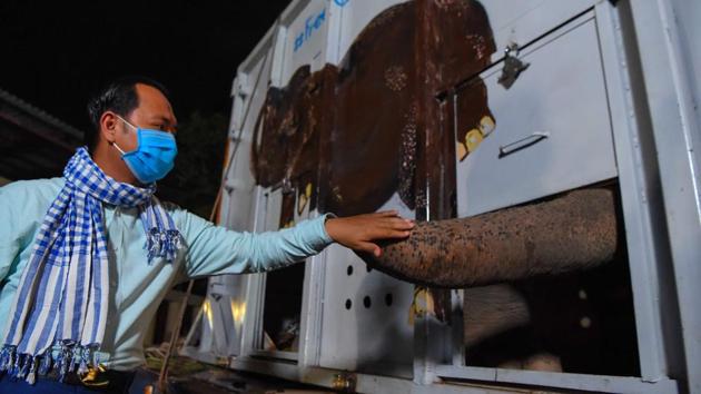 Cambodia's Deputy Minister of Environment Neth Pheaktra touches Kaavan’s trunk as they prepare to release him into his new home in the Kulen Prom Tep Wildlife Sanctuary on November 30. Kaavan, a 1985 gift from Sri Lanka to Pakistan, had been living in the Marghazar Zoo in Islamabad with his partner Saheli, who died in 2012. The zoo fell on hard times and conditions got so bad that a court ordered the zoo closed in August. (Tang Chhin Sothy / AFP)