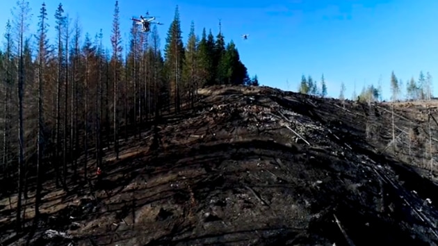 Tree-planting drones to speed up reforestation efforts