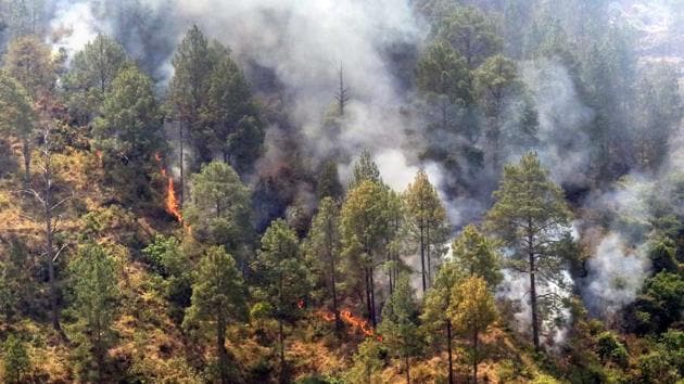Five data sets currently place 2020, a year characterised by heatwaves, droughts, wildfires and raging hurricanes, as the second warmest since records began in 1850.(HT Photo) Five data sets currently place 2020, a year characterised by heatwaves, droughts, wildfires and raging hurricanes, as the second warmest since records began in 1850.(HT Photo)