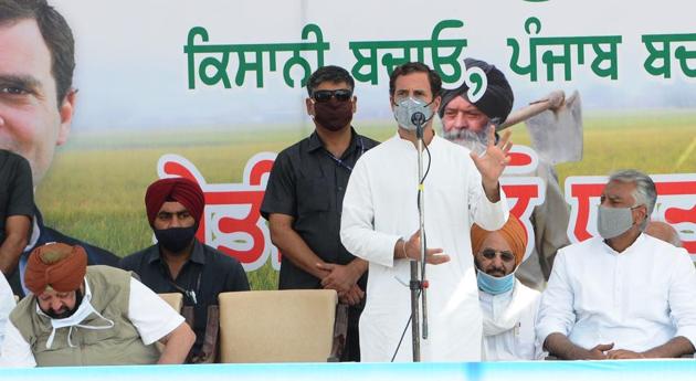 Patiala, India – Oct 6: Congress leader Rahul Gandhi addresses the gathering during party's 'Kheti Bachao' tractor rally against the farm laws, at Sanaur in Patiala district, Tuesday, Oct. 6, 2020. (Photo by Bharat Bhushan / Hindustan Times) Patiala, India – Oct 6: Congress leader Rahul Gandhi addresses the gathering during party's 'Kheti Bachao' tractor rally against the farm laws, at Sanaur in Patiala district, Tuesday, Oct. 6, 2020. (Photo by Bharat Bhushan / Hindustan Times)